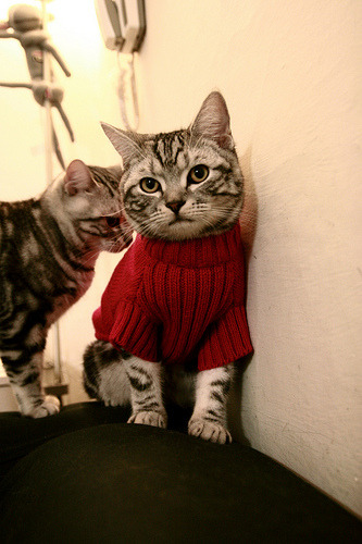 中超赛场失误造成丢球比例分析,中超赢球降级输球晋级