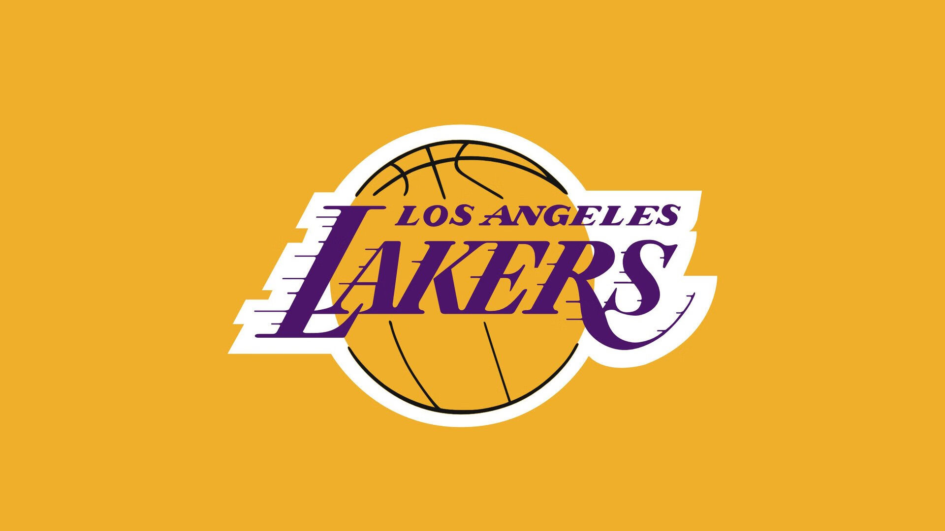 世界杯：多国将“世界杯志愿者经历”写入高校社会实践学分体系